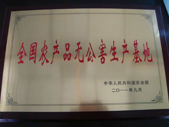 ȫ���޹�������