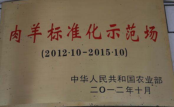 �����׼��ʾ����