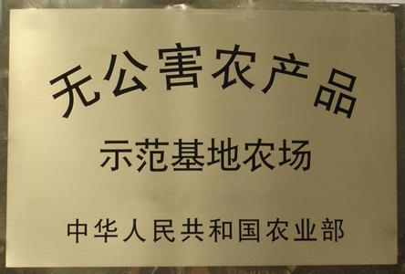 �޹���ʾ��ũ��